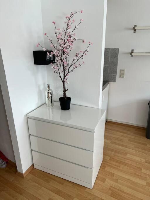 Kleines Apartment Im Zentrum Von Wuerzburg Zewnętrze zdjęcie