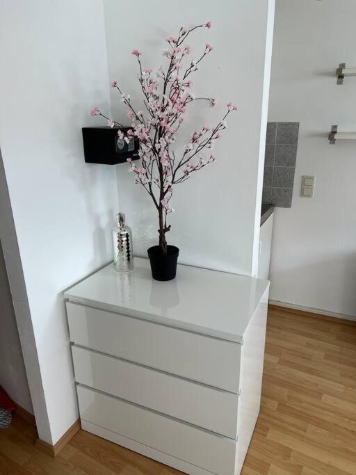 Kleines Apartment Im Zentrum Von Wuerzburg Zewnętrze zdjęcie